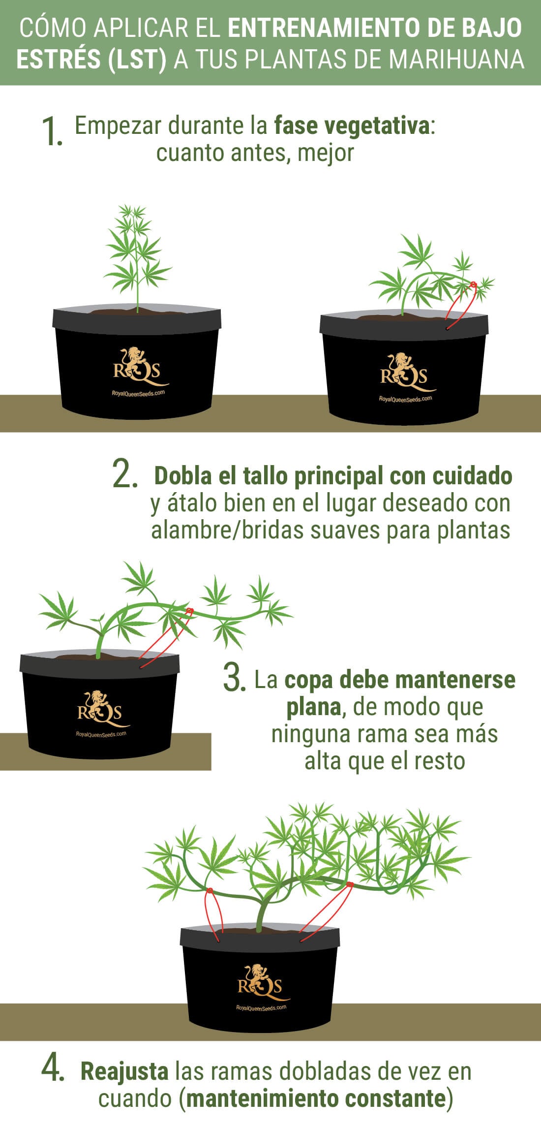 Hygetropin 10IU Biopharm �����-���������: ����.